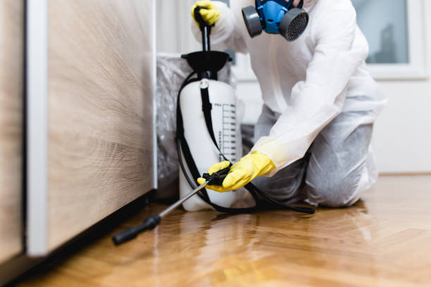 Best Pest Prevention Services  in Jasper, TX