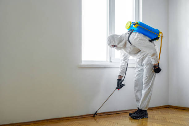 Best Pest Control Treatment  in Jasper, TX